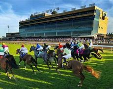 Image result for Dallas Horse Racing