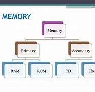 Image result for Types of Memory Overview