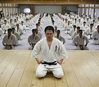 Image result for Kyokushin Karate