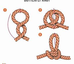 Image result for Butterfly Knot