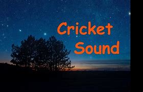 Image result for Cricket Animal Sound