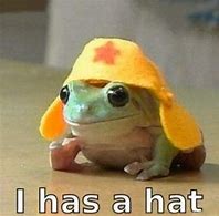 Image result for Funny Tree Frog Memes