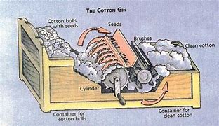 Image result for Cotton Ginning Process