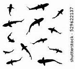 Image result for Shark Silhouette Art
