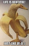 Image result for Banana Duck Meme