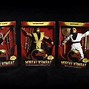 Image result for WWF Action Figures