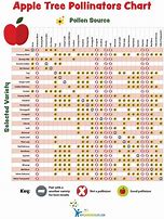 Image result for Apple Tree Cross-Pollination Chart