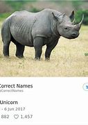Image result for Funny Names for Everyday Things