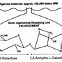 Image result for Heterozygous Gel Electrophoresis