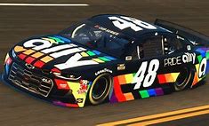 Image result for NASCAR Pride