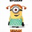 Image result for Despicable Me 2 DVD