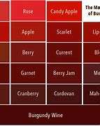 Image result for Burgundy Red