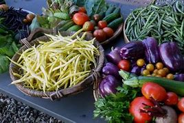 Image result for Types of Plant Based Foods
