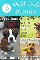 Image result for Really Cute Dog Memes