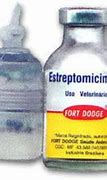 Image result for estreptomicina