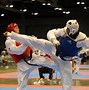 Image result for Taekwondo Kicking