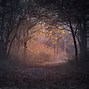 Image result for Dark Fall Wallpaper