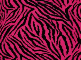 Image result for Hot Pink Zebra Print