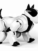 Image result for Real Robot Companion