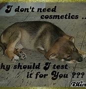 Image result for Anti Animal Testing