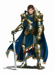Image result for Noble Paladin 5E
