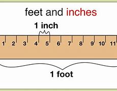 Image result for How Long Is 11 Inches