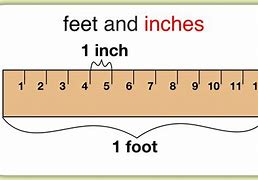 Image result for How Much Is 4 Feet and 6 in Inches
