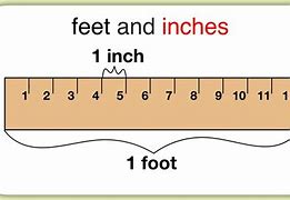 Image result for How Long Is 10 M