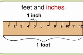 Image result for How Much Is 40 Feet