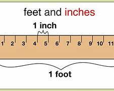Image result for How Big Is 12 Feet