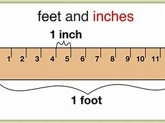 Image result for 5 Foot 4 in Inches