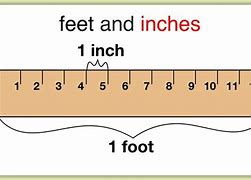 Image result for How Many Inches Is 5'8