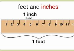 Image result for How Long Is 16 Feet