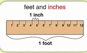 Image result for 4 Feet 0 Inches