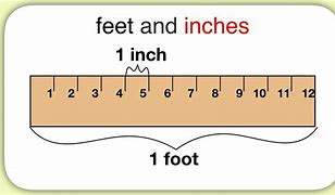 Image result for How Big Is 4 Foot in Cm
