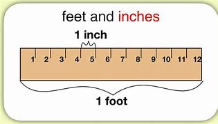 Image result for 4 Feet 11 Inches
