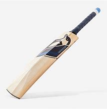 Image result for Blue Cricket Bat