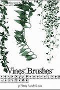 Image result for Vines Brush