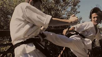 Image result for Dirty Karate Fight