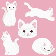 Image result for Cat Illustration White Choclate