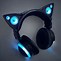 Image result for cats ears headphone