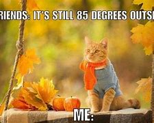 Image result for Waiting for Fall Meme