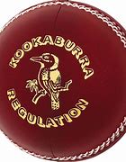 Image result for Cool Kookaburra Cricket