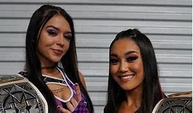 Image result for WWE NXT Tag Teams