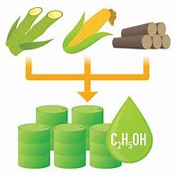 Image result for Biomass Clip Art