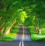 Image result for Bing Nature Desktop Wallpaper