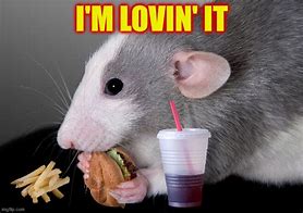 Image result for Rat Smiling Meme