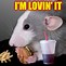Image result for Fat Nuts Rat Meme