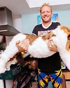 Image result for What Is the Biggest Cat in the World