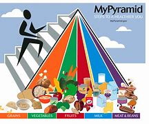 Image result for Diet Pyramid